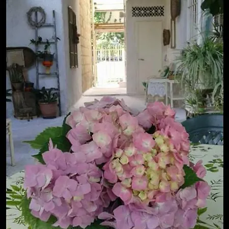 Bed & Breakfast Campanino68 *